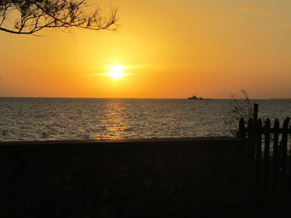 Ocho Rios Villa At Coolshade IV Saint Annʼs Bay Dış mekan fotoğraf