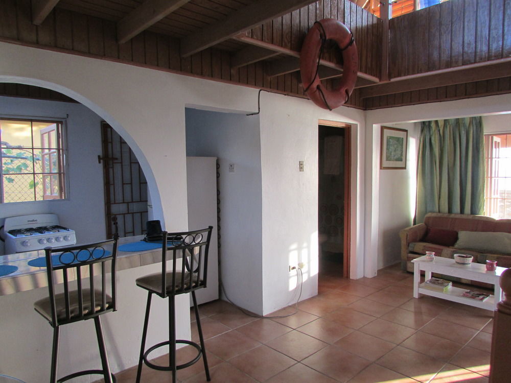 Ocho Rios Villa At Coolshade IV Saint Annʼs Bay Dış mekan fotoğraf